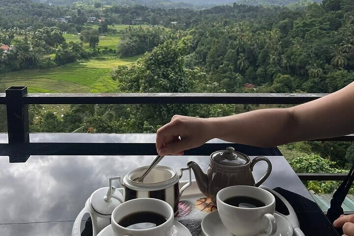 Kandy to Nuwara Eliya Private Day Tour: Tea Factory& Gregory Lake