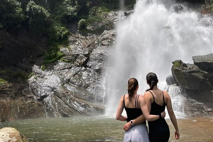 Kandy to Nuwara Eliya Private Day Tour: Tea Factory& Gregory Lake
