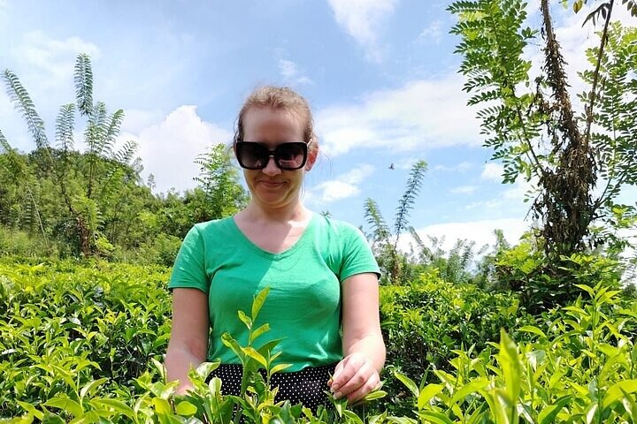 Kandy to Nuwara Eliya Private Day Tour: Tea Factory& Gregory Lake