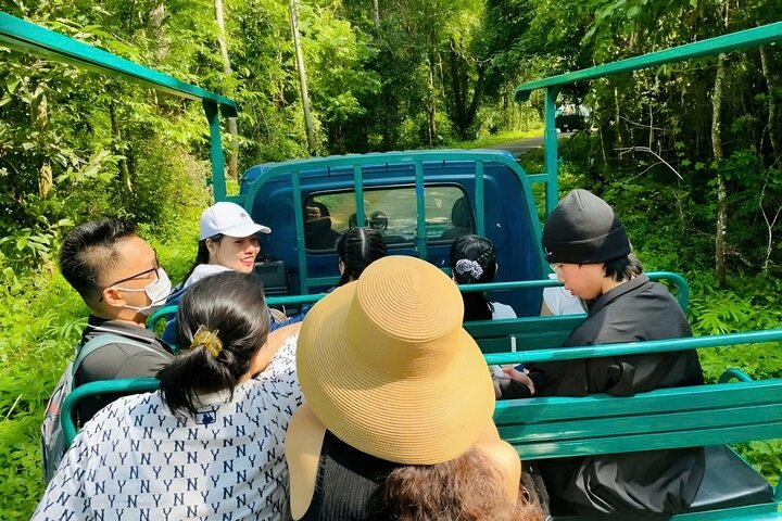 Cat Tien Day Trip from HCMC: Jungle Trek & Wildlife Safari
