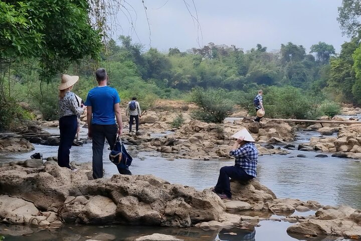 Cat Tien Day Trip from HCMC: Jungle Trek & Wildlife Safari