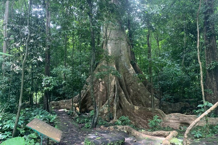 Cat Tien Day Trip from HCMC: Jungle Trek & Wildlife Safari