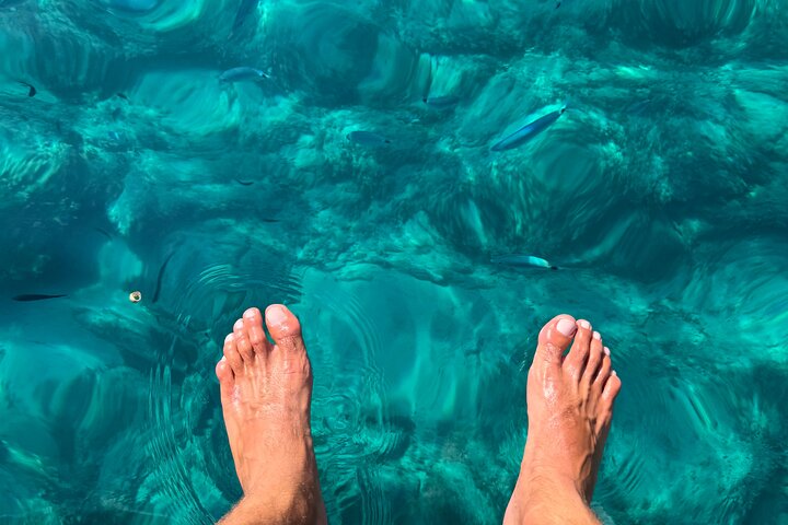 Alcudia: 3H Sightseeing, Sea Caves & Snorkel Speedboat Tour