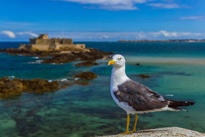 Saint-Malo Walking Tour with Audioguide on Your Smartphone