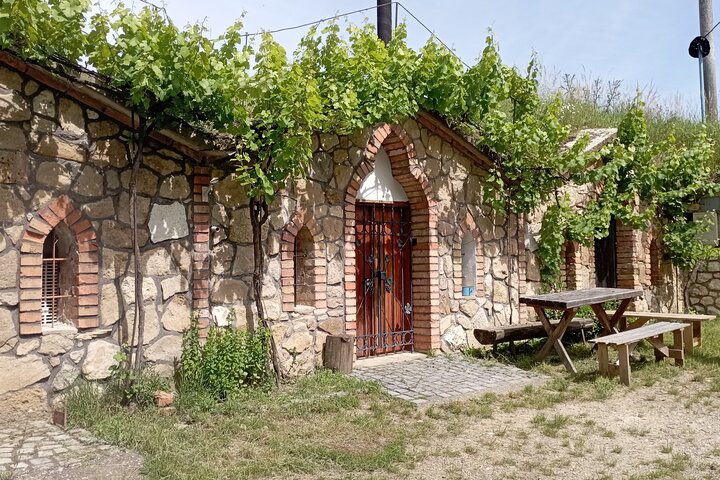 Wine Culture and UNESCO Gems Lednice Valtice Area and Mikulov