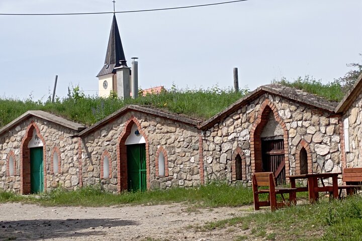 Wine Culture and UNESCO Gems Lednice Valtice Area and Mikulov