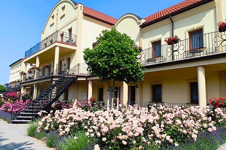Wine Culture and UNESCO Gems Lednice Valtice Area and Mikulov