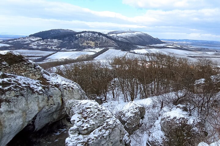 Wine Culture and UNESCO Gems Lednice Valtice Area and Mikulov