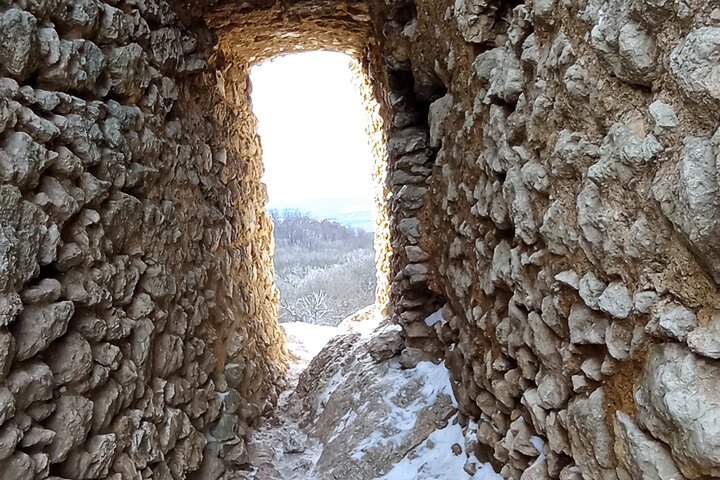 Wine Culture and UNESCO Gems Lednice Valtice Area and Mikulov