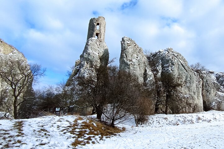 Wine Culture and UNESCO Gems Lednice Valtice Area and Mikulov