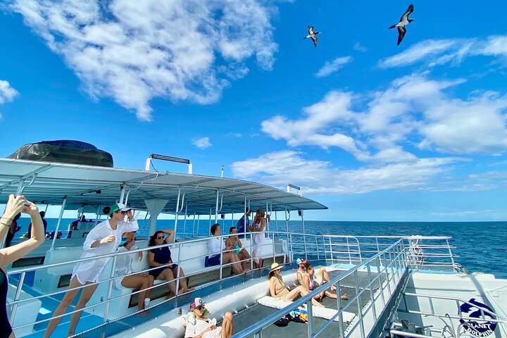 Snorkeling and Sunset Catamaran Cruise from Tamarindo
