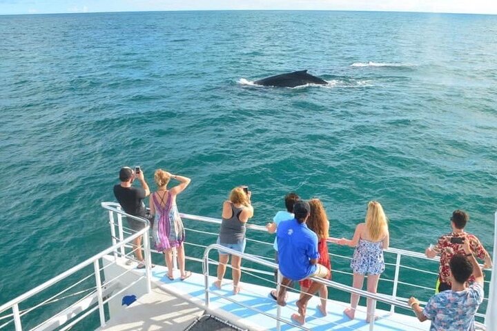 Snorkeling and Sunset Catamaran Cruise from Tamarindo