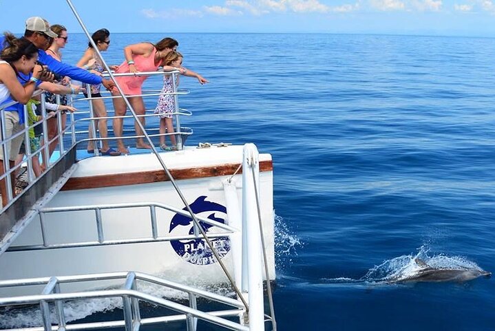 Snorkeling and Sunset Catamaran Cruise from Tamarindo