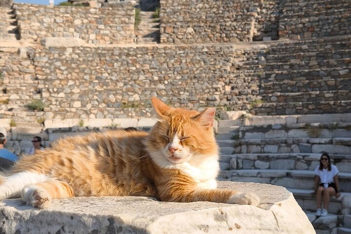 PRIVATE Ephesus Tour for Cruisers included Skip the Line Tickets