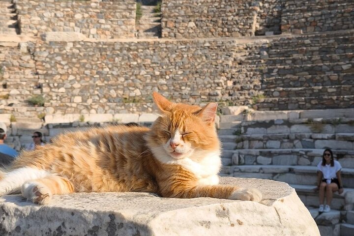 All Inclusive: Best of EPHESUS Tours Incl Skip Line ENTRY TICKETS