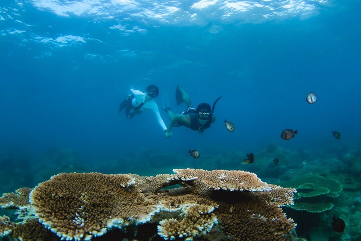 Semporna: 3 Day Ultimate Volcanic Peaks Reefs and Sea Gypsies