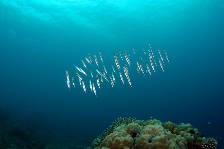 Semporna: 3 Day Ultimate Volcanic Peaks Reefs and Sea Gypsies