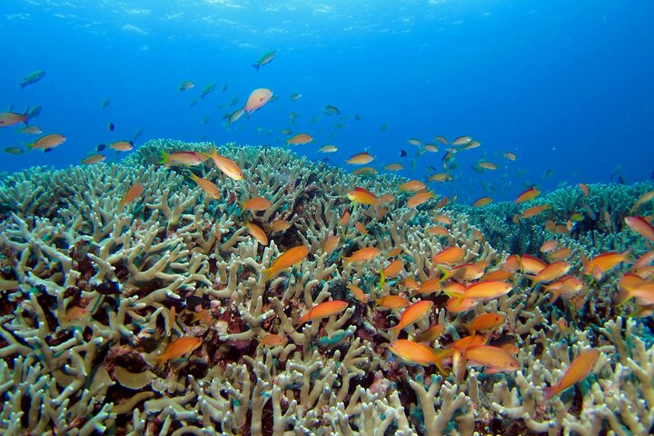 Semporna: 3 Day Ultimate Volcanic Peaks Reefs and Sea Gypsies