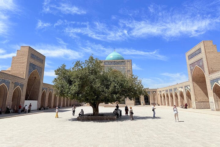 Bukhara: Full-Day Private Walking Tour with Local Tour Guide