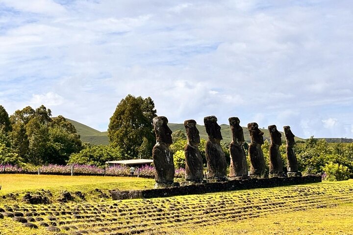 Rapa Nui Private Full Day Tour