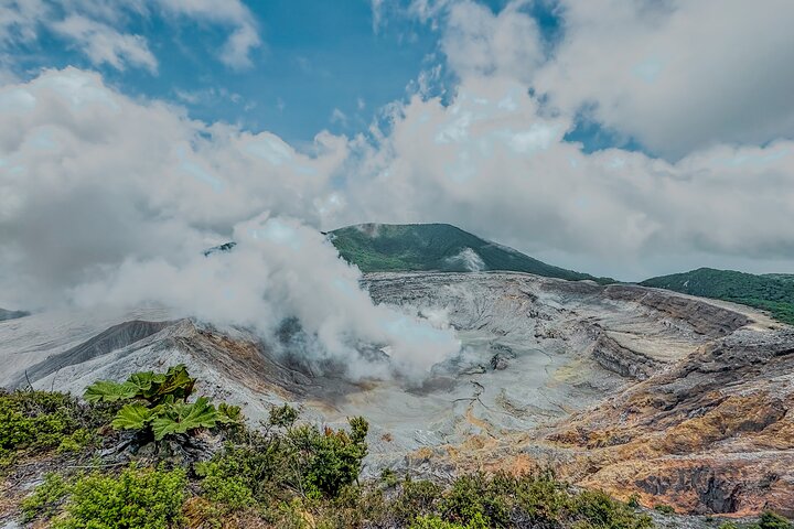 Poas Coffee tour, La Paz Falls and Poas Volcano