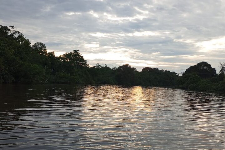 Borneo (Klias) River Cruise & Fireflies Tour