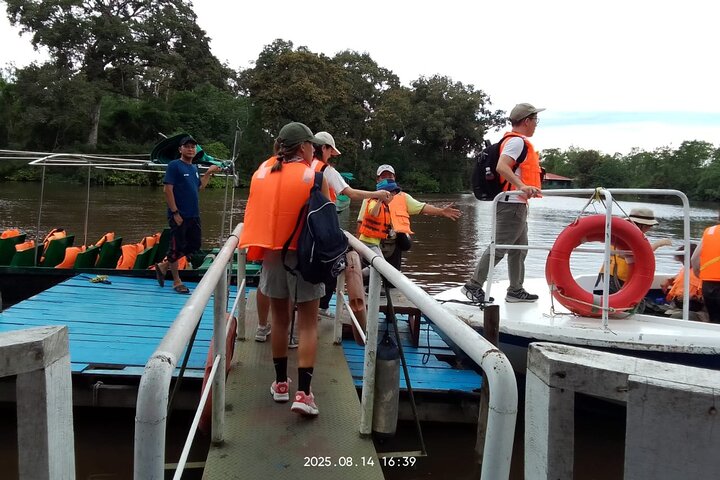 Borneo (Klias) River Cruise & Fireflies Tour