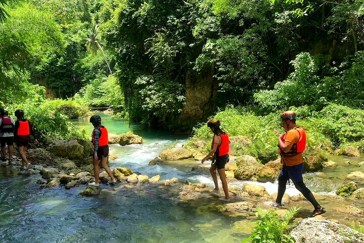 Cebu: Oslob Whale Shark Swimming & Kawasan Falls Canyoneering