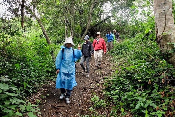 7-Day Customized Safari Tour and Gorilla Trekking in Uganda