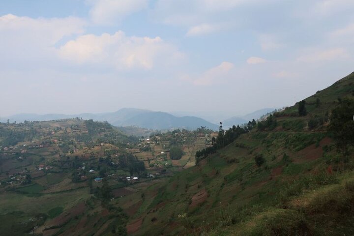 7-Day Customized Safari Tour and Gorilla Trekking in Uganda