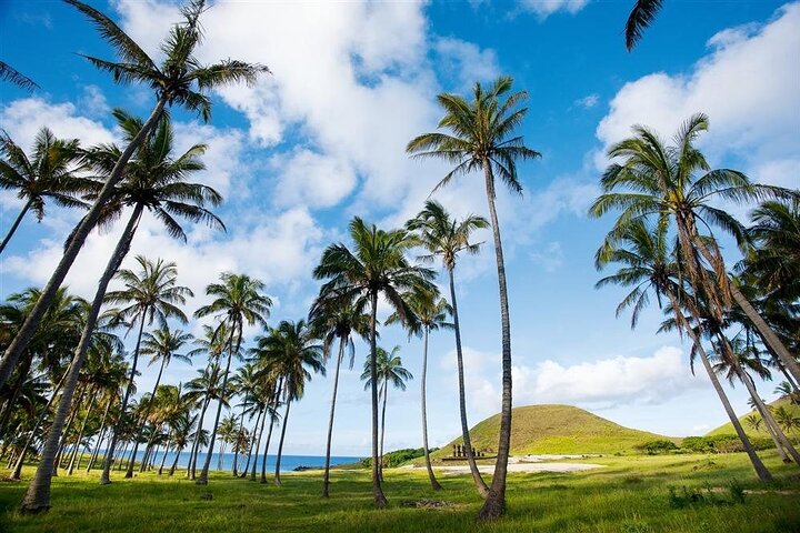 Rapa Nui Private Full Day Tour