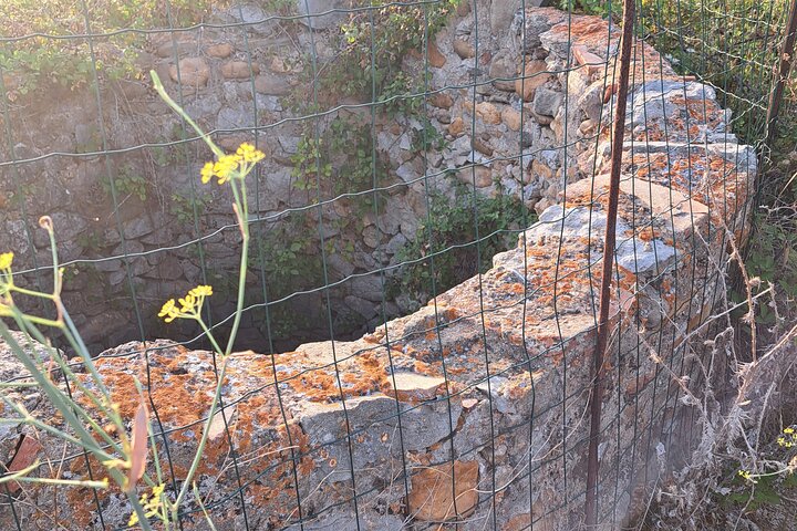 Jardins DE la Sagne EN Peril