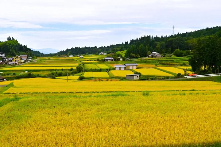 Hiking the Historic Nakasendo Trail [1 Day Tour from Nagoya]