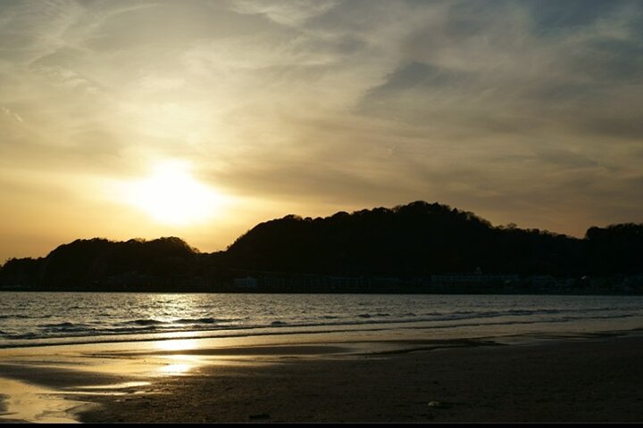 Kamakura Private Custom Tour: Great Buddha, Temples & Coast