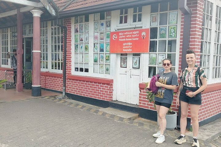 Kandy to Nuwara Eliya Private Day Tour: Tea Factory& Gregory Lake