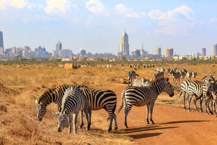 Nairobi National Park Half-Day Safari in a 4x4 Vehicle