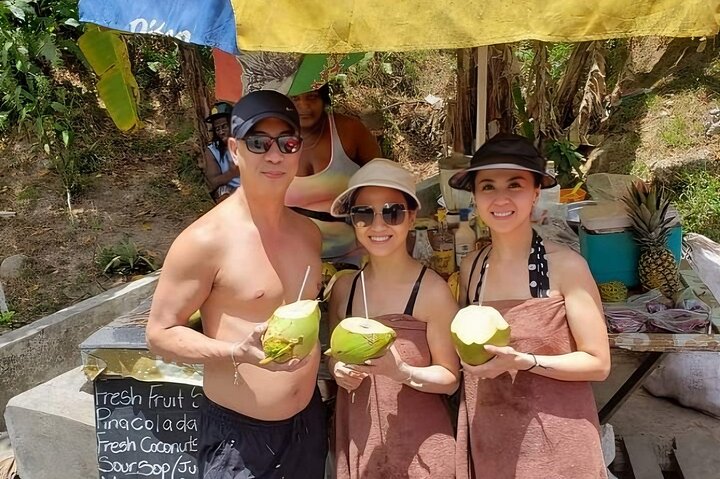 Private Best of St Lucia Mud Bath & Toraille Waterfall Excursion