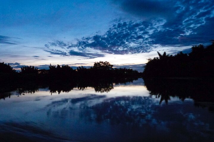 Semporna : Mangrove Cruise, Fireflies, Transfer & Dinner