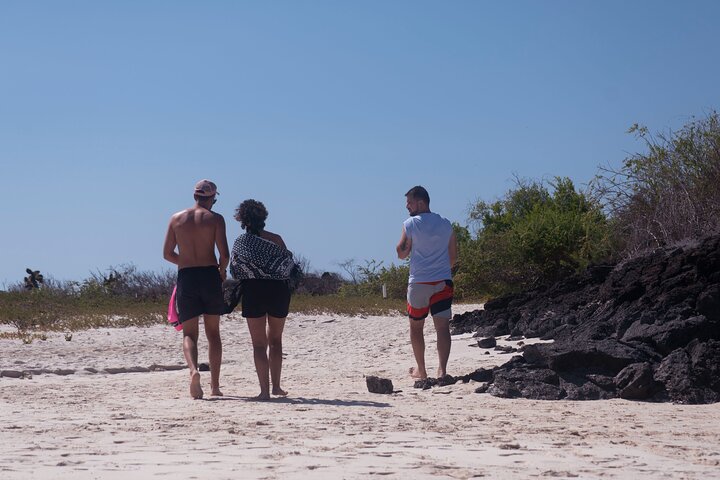 Galapagos First Class 5 Day Package with Yacht Day Tours