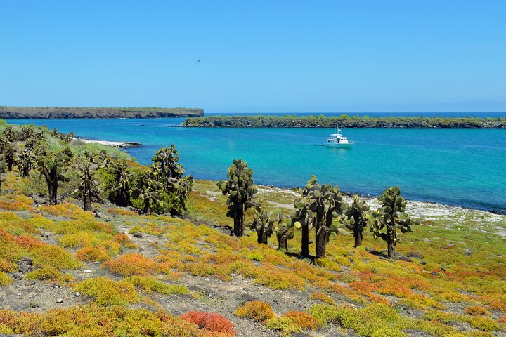 Galapagos First Class 5 Day Package with Yacht Day Tours