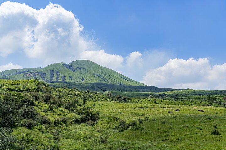 Kumamoto Castle Suizenji Garden or Aso Full-Day Tour Option