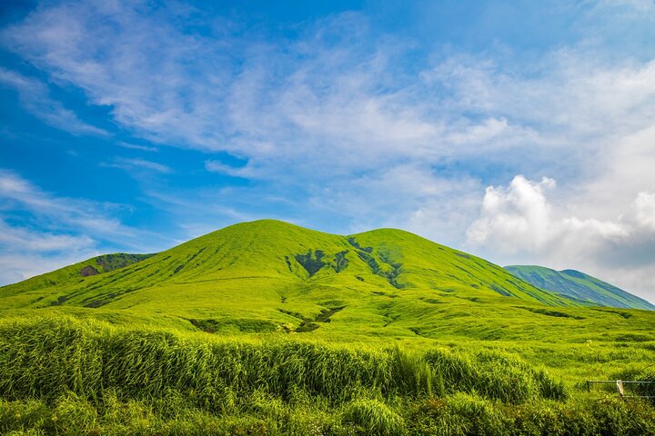 Kumamoto Castle Suizenji Garden or Aso Full-Day Tour Option