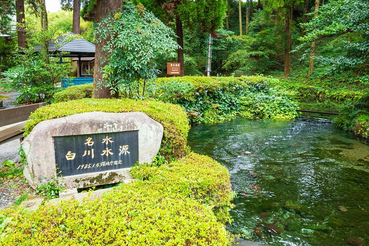 Kumamoto Castle Suizenji Garden or Aso Full-Day Tour Option