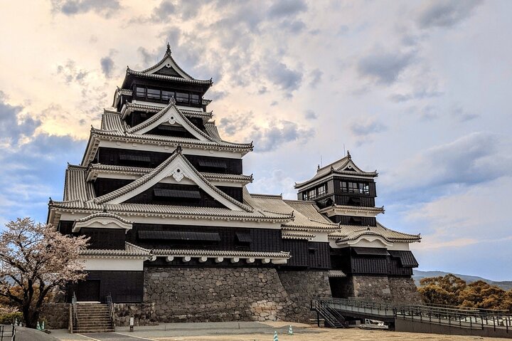 Kumamoto Castle Suizenji Garden or Aso Full-Day Tour Option