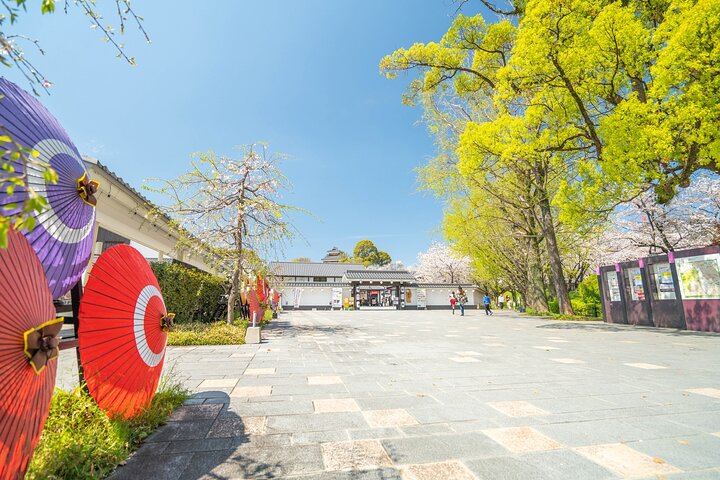 Kumamoto Castle Suizenji Garden or Aso Full-Day Tour Option