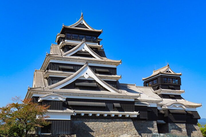 Kumamoto Castle Suizenji Garden or Aso Full-Day Tour Option