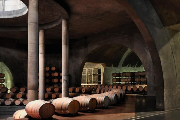 Uco Valley : Zuccardi Experience & Lunch at Salentein Winery.