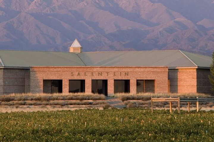 Uco Valley : Zuccardi Experience & Lunch at Salentein Winery.