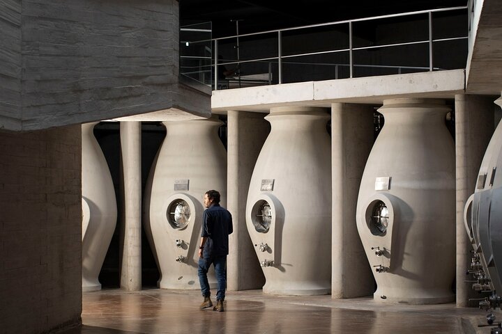 Uco Valley : Zuccardi Experience & Lunch at Salentein Winery.