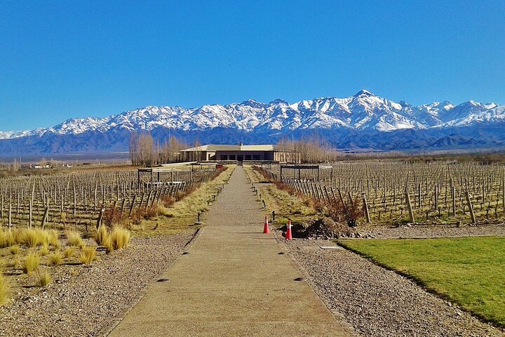 Uco Valley : Zuccardi Experience & Lunch at Salentein Winery.